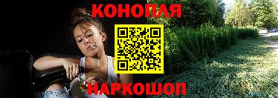 jwh Ставрополь