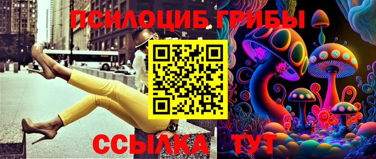 Черкесск  Псилоцибиновые грибы мухоморы  Вход с VPN 