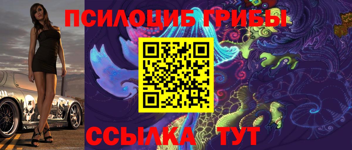 Псилоцибиновые грибы MAGIC MUSHROOMS Черкесск